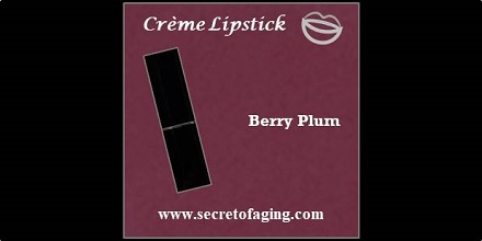 Berry Plum Creme Lipstick Devious by Secret of Aging