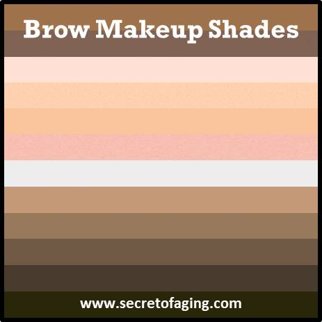 2021 Brow Makeup Shades by Secret of Aging