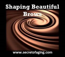 2021 Shaping Beautiful Brows by Secret of Aging