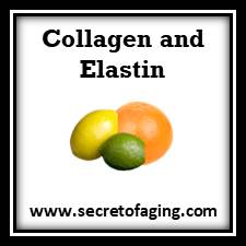 Repair Cream with Collagen and Elastin Skincare by Secret of Aging