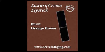 Burnt Orange Brown Luxury Creme Lipstick Sienna Sun by Secret of Aging