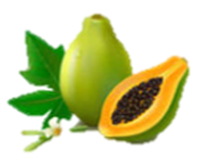 Papaya Enzyme Icon by Secret of Aging