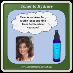 Toner to Hydrate by Secret of Aging