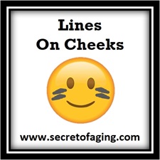 Lines on Cheeks Icon by Secret of Aging