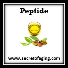 Moisturizing Cream with Peptide Skincare by Secret of Aging