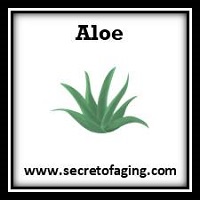 Aloe Skincare by Secret of Aging