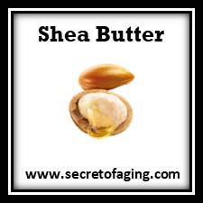 Neck Cream with Shea Butter by Secret of Aging