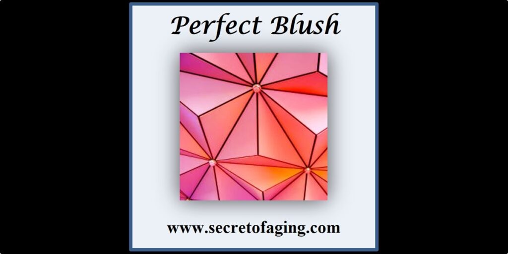 Perfect Blush Large Art by Secret of Aging