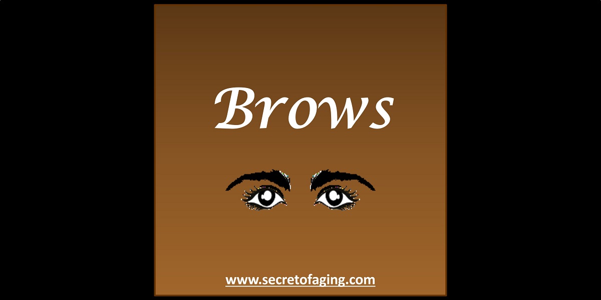 Brows by Secret of Aging