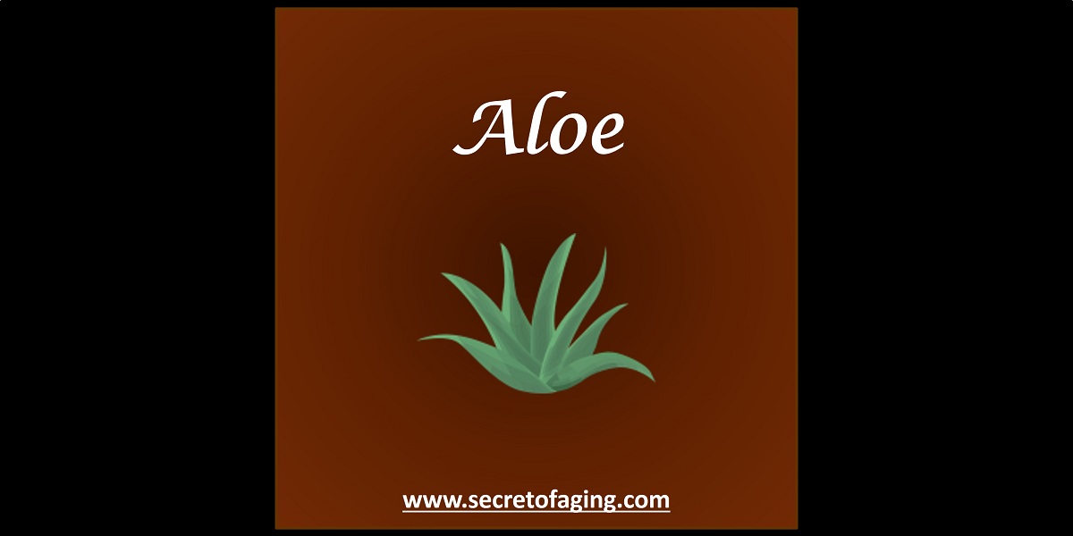 Aloe by Secret of Aging