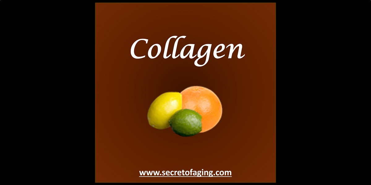 Collagen Skincare by Secret of Aging