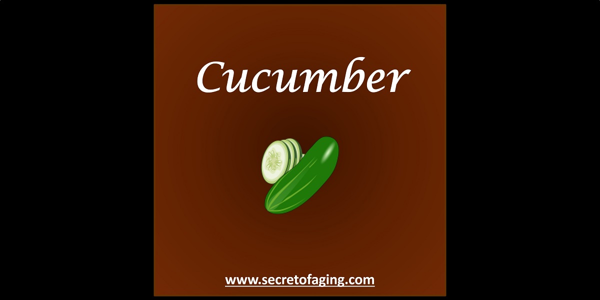 Cucumber by Secret of Aging