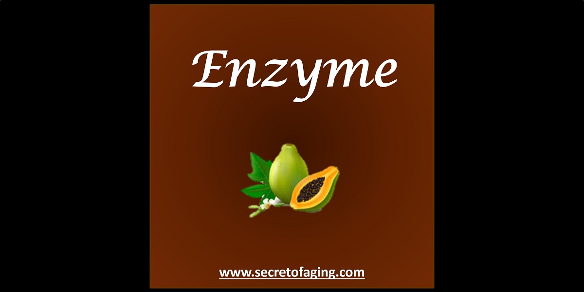 Enzyme by Secret of Aging