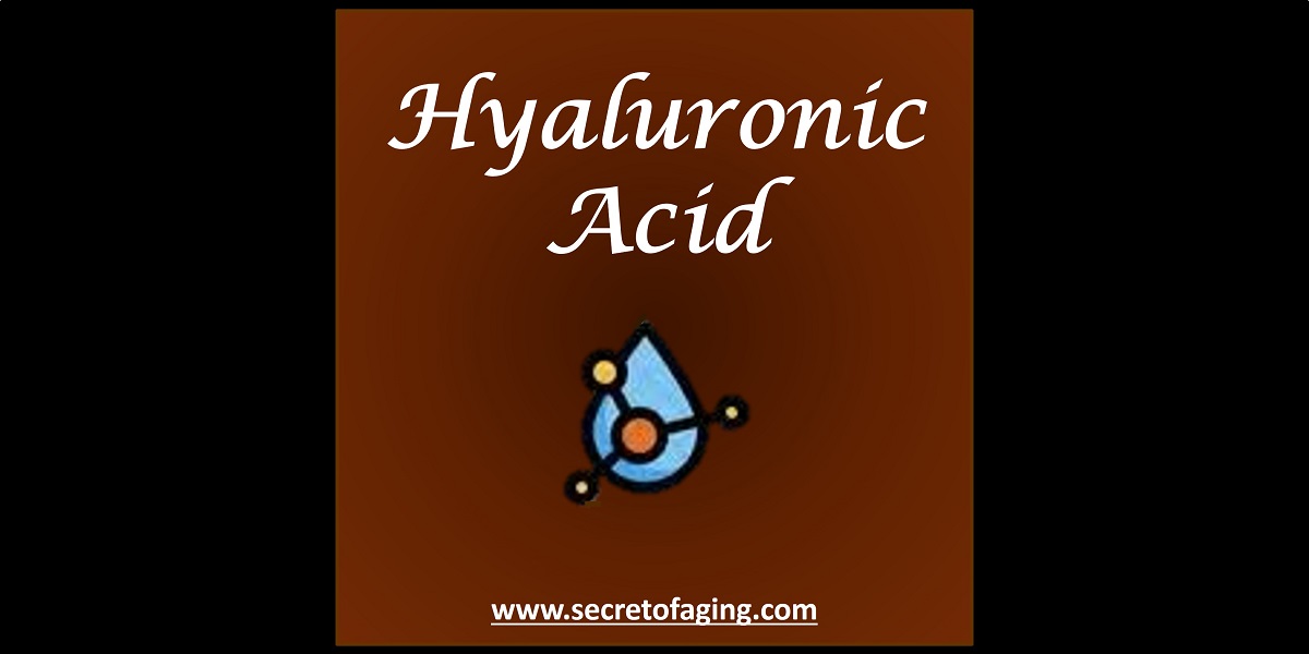 Hyaluronic Acid by Secret of Aging