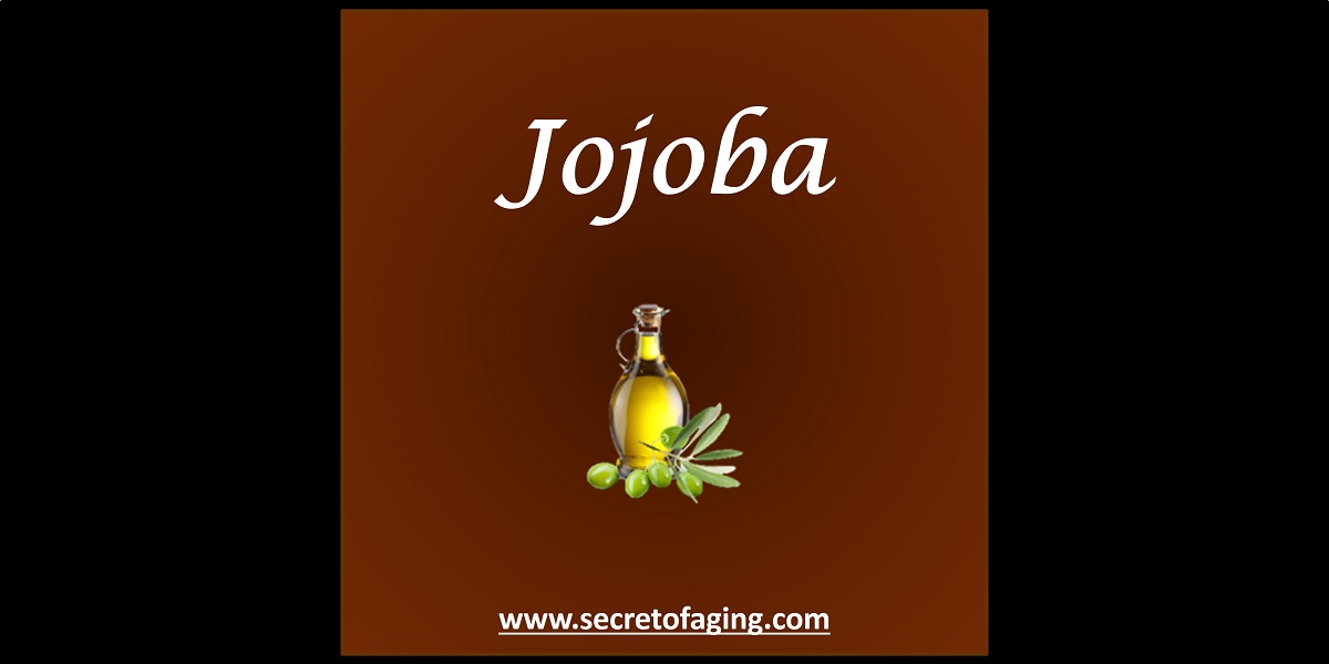 Jojoba Oil by Secret of Aging
