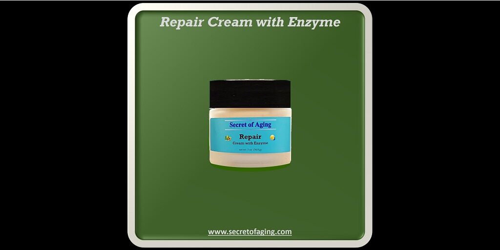 Repair Cream with Enzyme by Secret of Aging