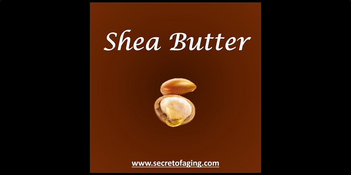 Shea Butter by Secret of Aging