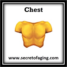 Chest by Secret of Aging