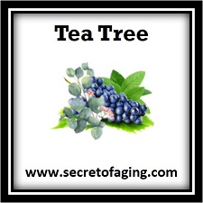 Tea Tree by Secret of Aging makes this the best shaving gel that our users have used on their face, neck, legs, chest and under arms!