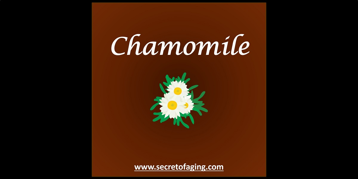 Chamomile by Secret of Aging