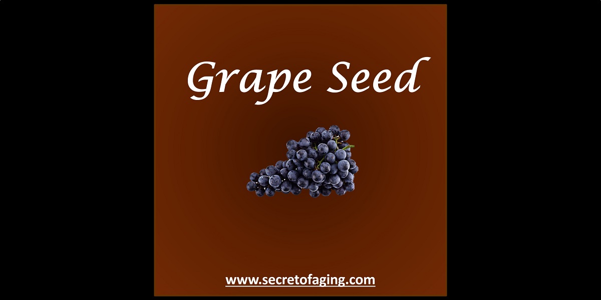 Grape Seed by Secret of Aging