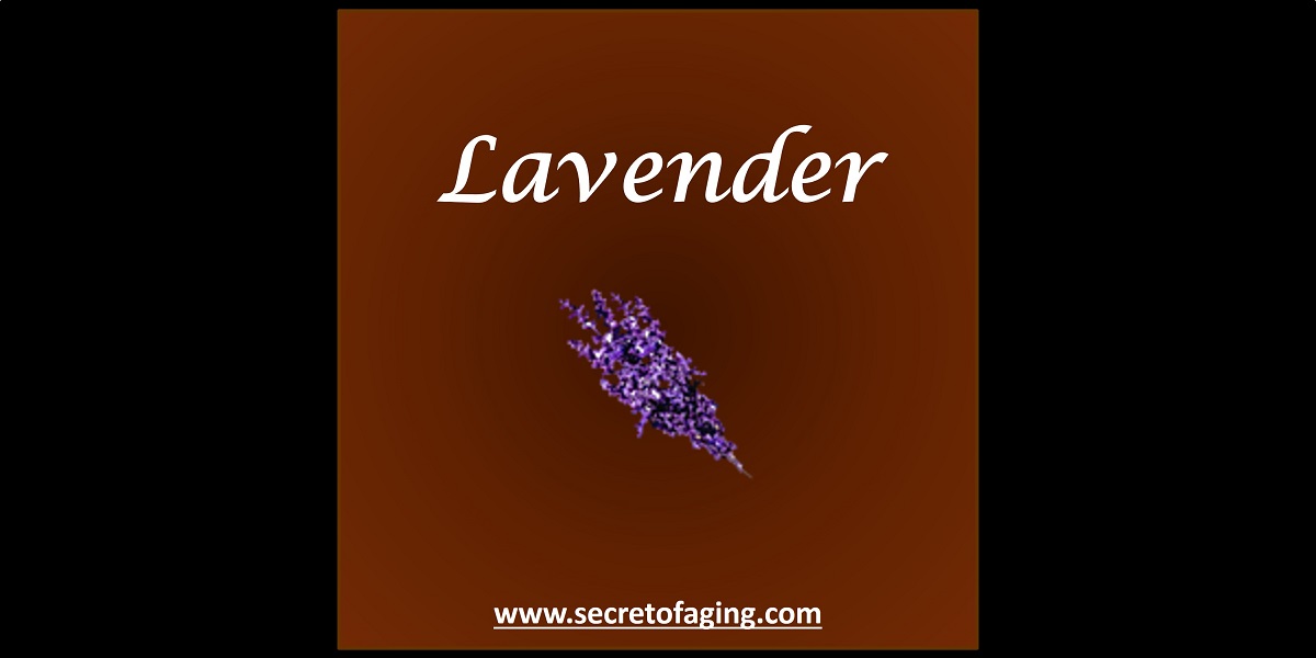 Lavender by Secret of Aging