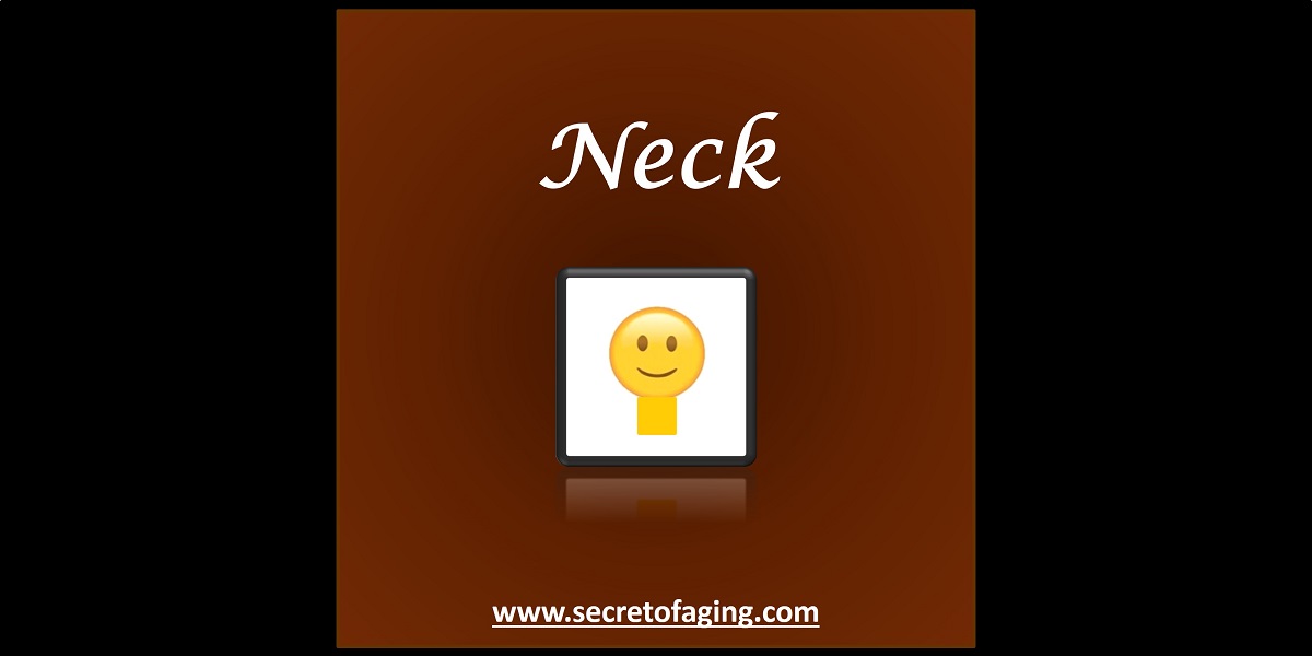 Neck by Secret of Aging