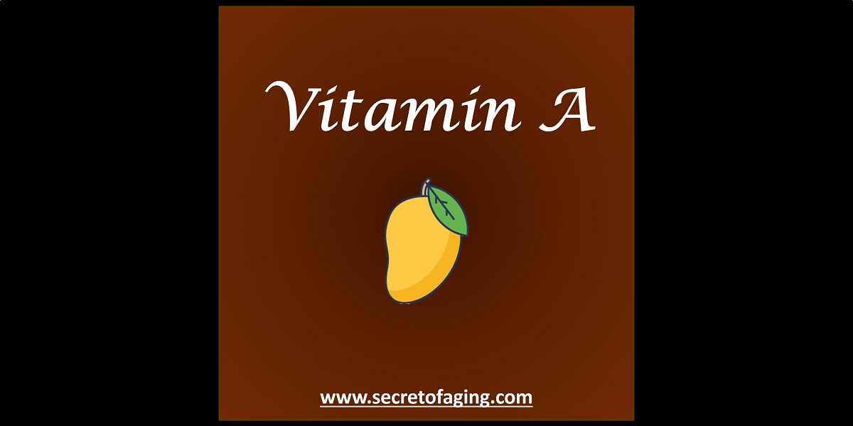 Vitamin A by Secret of Aging