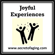 Joyful Experiences Icon by Secret of Aging