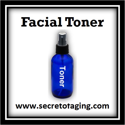Facial Toner Icon by Secret of Aging