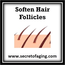 Soften Hair Follicles Icon by Secret of Aging