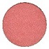 Coral Pink Vivid Color Eye Shadow