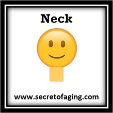 Neck Image by Secret of Aging