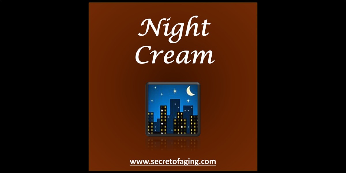 Night Cream by Secret of Aging