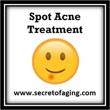 T Zone with Surprise Acne Recipe replaces Spot Acne Treatment by Secret of Aging Art