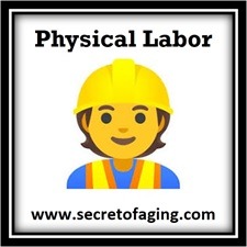 Physical Labor Icon by Secret of Aging