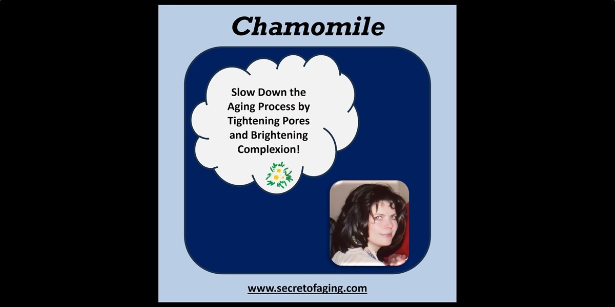 Chamomile Tag by Secret of Aging