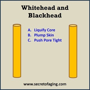 Whitehead and Blackhead with Solution by Secret of Aging