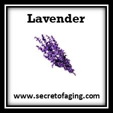 Lavender Skincare by Secret of Aging