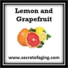 Lemon and Grapefruit Icon by Secret of Aging