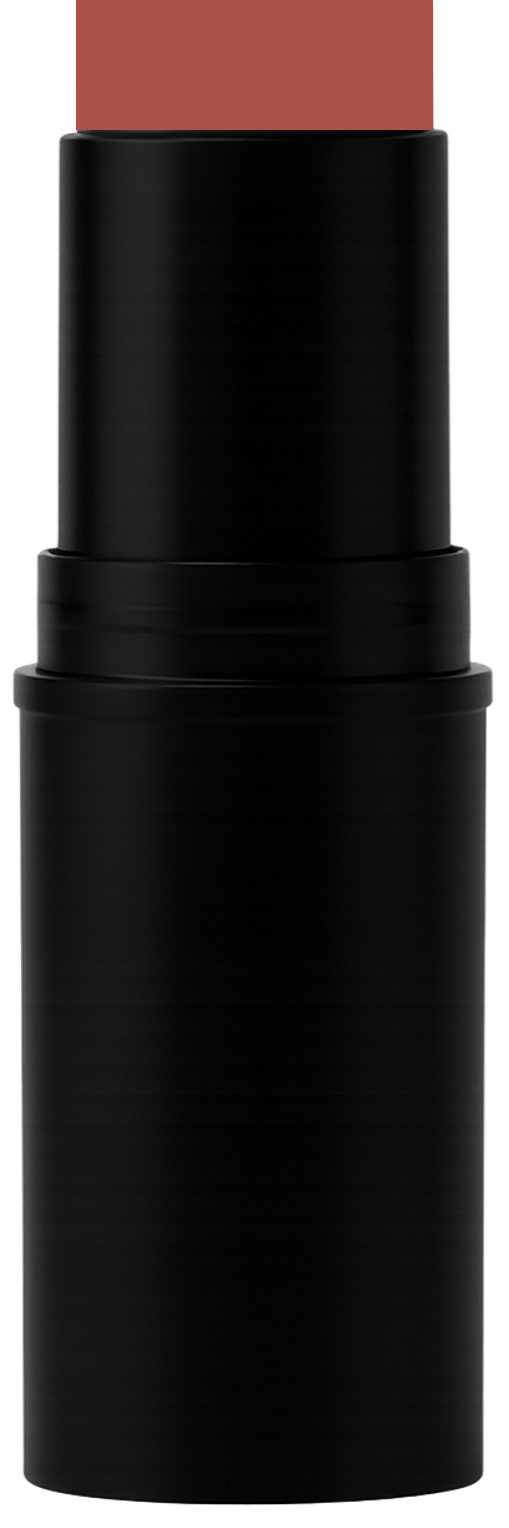 Lip and Cheek Case.jpg