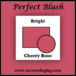 Bright Cherry Rose