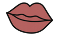 Rose Lip by Secret of Aging
