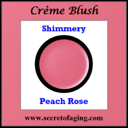 Shimmery Peach Rose