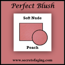 Soft Nude Peach