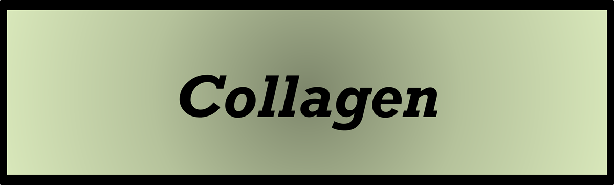 Collagen by Secret of Aging