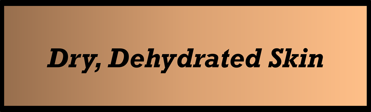 Dry Dehydrated Skin by Secret of Aging