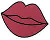 Frosted Deep Magenta Lip