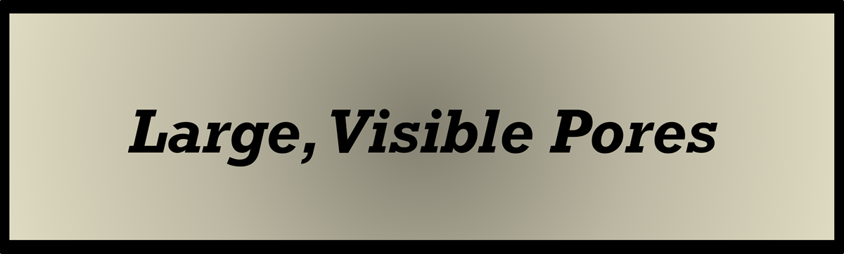 Large Visible Pores by Secret of Aging