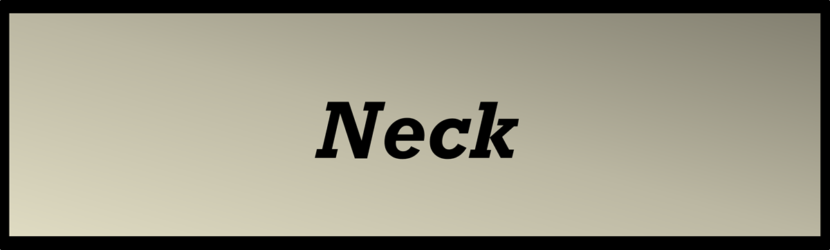 Neck Skincare by Secret of Aging